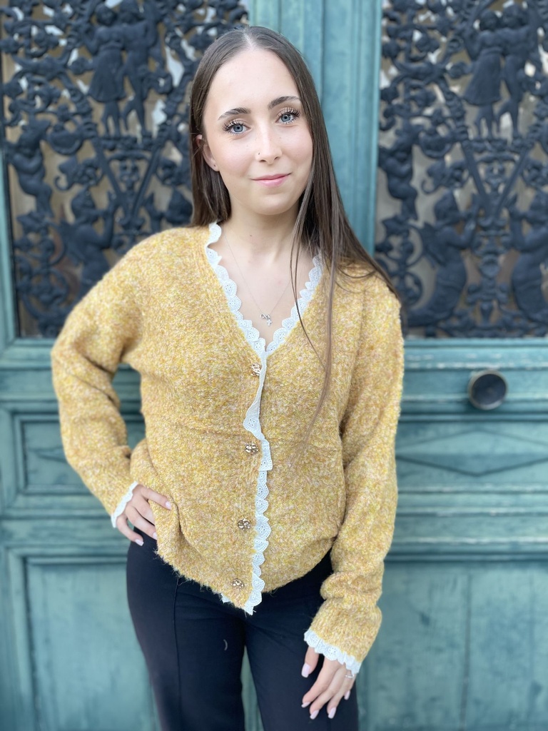 Pull Col Dentelle