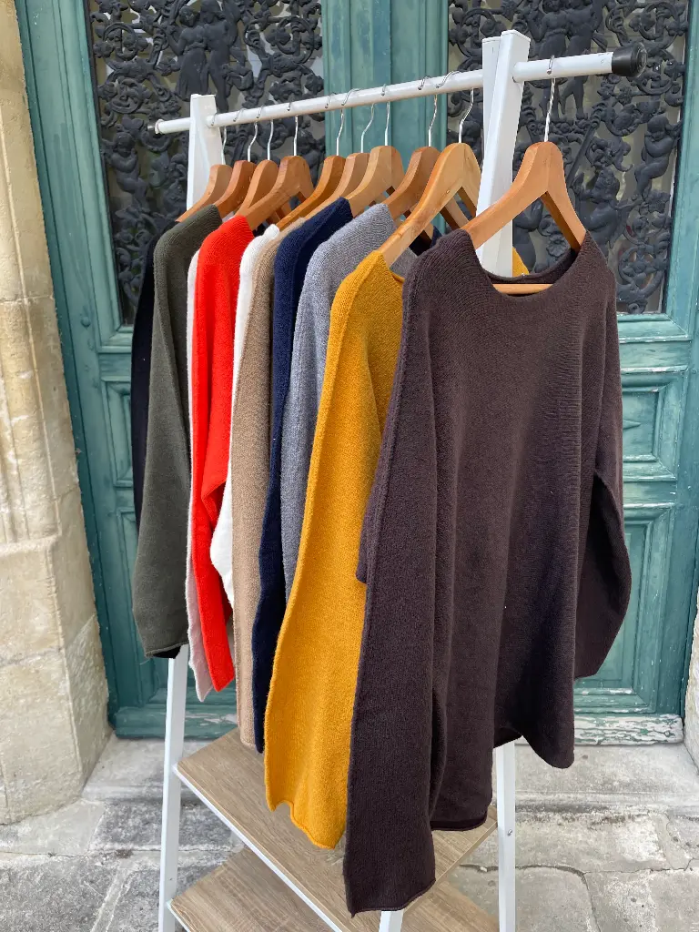 Pull “Pas une laine, une plume”